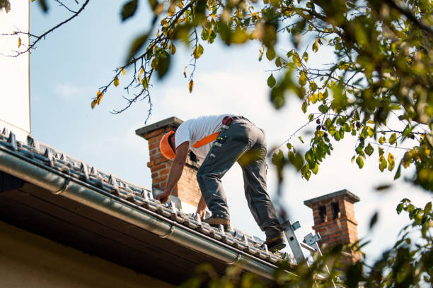 Best Roof Waterproofing Services  in Jefferson, IA